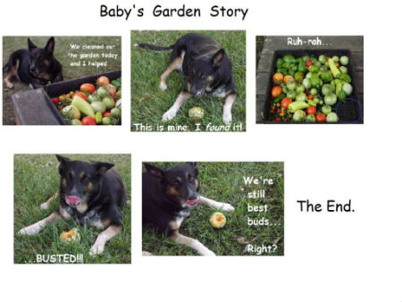 garden story 2.jpg